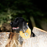 Scout's Honour - Nature Enthusiast Iron-on Patch