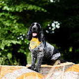 Scout's Honour - Nature Enthusiast Iron-on Patch