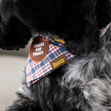 Scout's Honour - Tricks for Treats Iron-on Patch