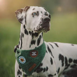 Scout's Honour - Tricks for Treats Iron-on Patch