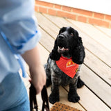 Scout's Honour - Walkies Iron-on Patch