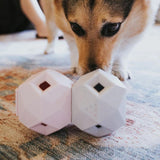 Up Dog Toys - The Odin