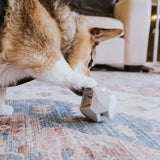 Up Dog Toys - The Odin