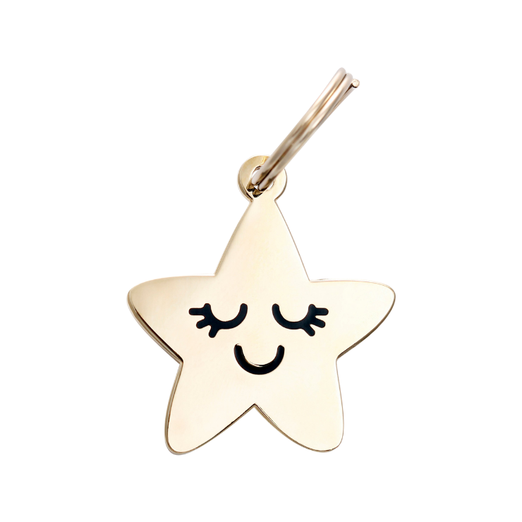 Two Tails Pet Company - Smiling Star Pet ID Tag