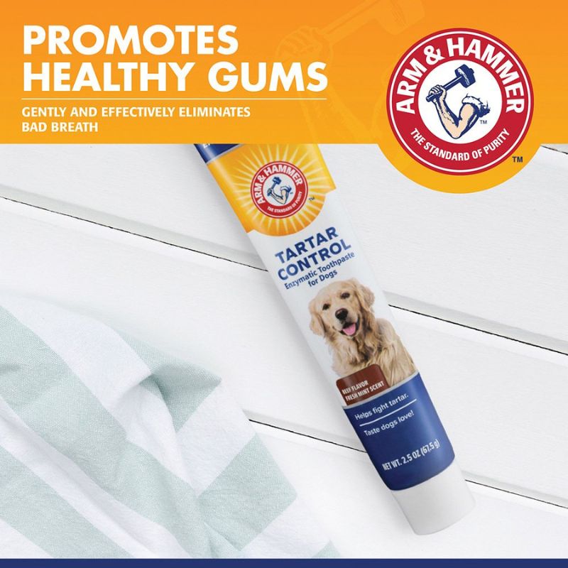 Arm and hammer dog hot sale toothpaste