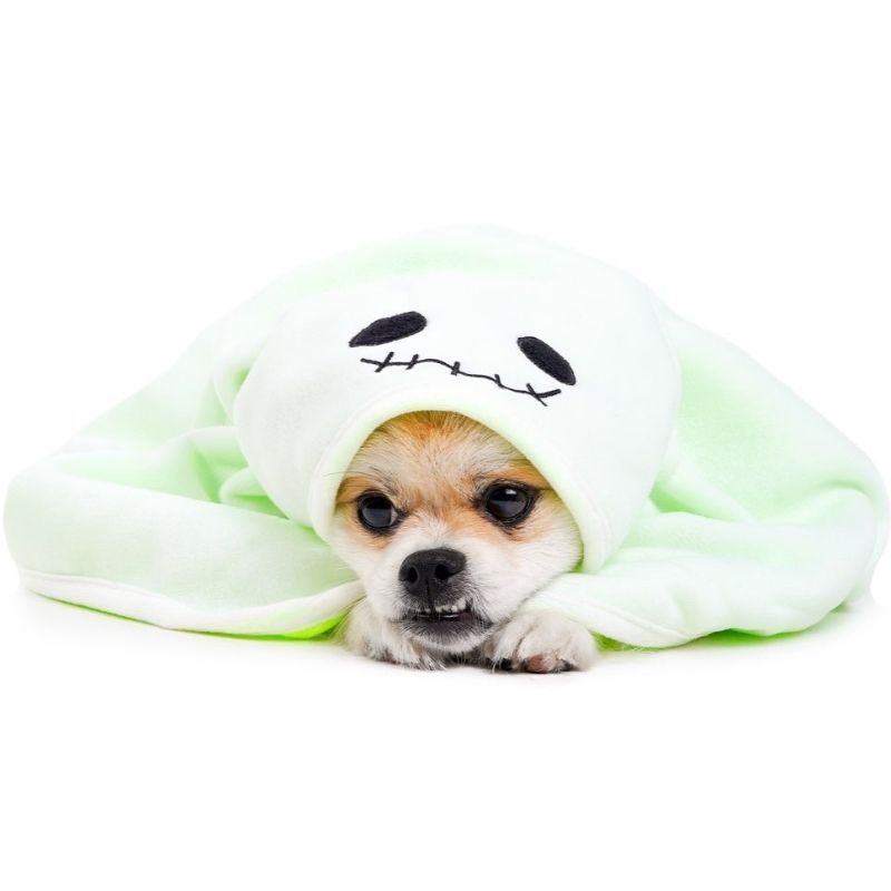 Bacon 3-in-1 Ghost Blanket - dogthings.co