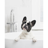 Houndztooth Rinse Free Dog Shampoo Frankie & Felix's Blend No.5 - 200ml - dogthings.co