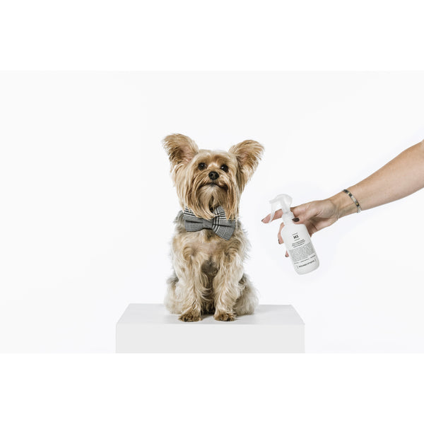 Houndztooth Conditioning & Deodoriser Spray Hugo's Blend No.1 - 250ml - dogthings.co