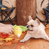 HugSmart - Corn Enrichment Toy - dogthings.co
