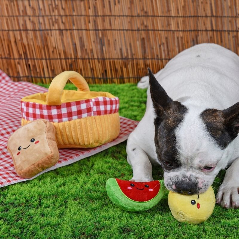 HugSmart - Picnic Time Enrichment Toy - dogthings.co