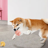 Petshy - Dog Treat Ball - Milk Tea Pink - dogthings.co