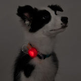 Pidan - Dog Safety Light - dogthings.co