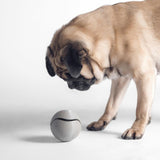 Pidan - Dispenser Dog Toy 3 Way Ball - Grey - dogthings.co
