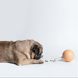 Pidan - Lollipop Dispenser Dog Toy - Orange - dogthings.co