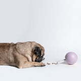 Pidan - Lollipop Dispenser Dog Toy - Purple - dogthings.co