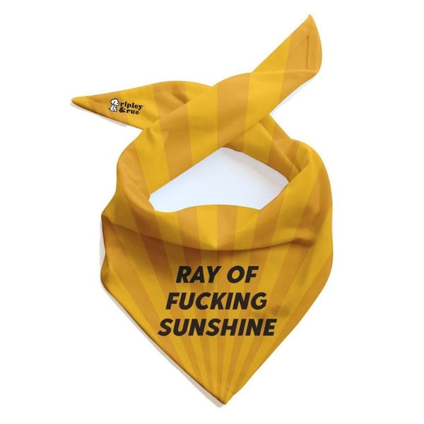 Ripley and Rue - Ray of Sunshine Dog Bandana
