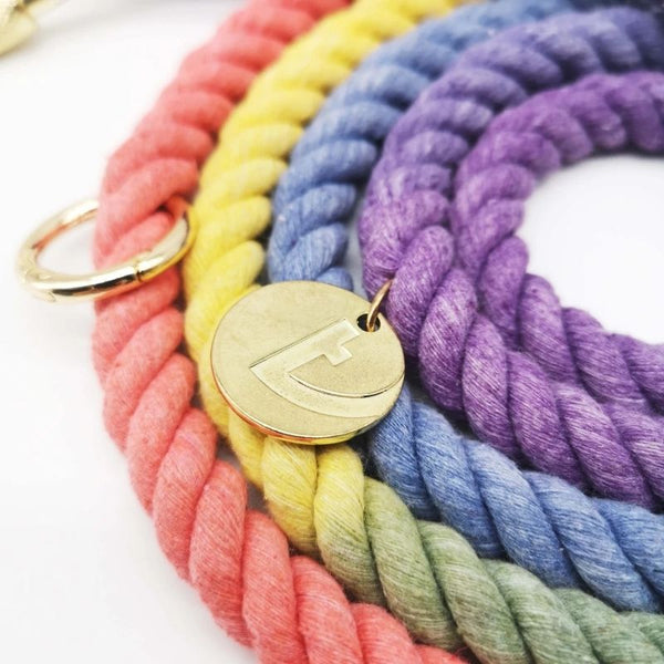 Tinklylife - 6 in 1 Rainbow Leash - dogthings.co