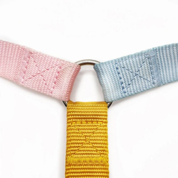 Tinklylife - Rainbow Harness - dogthings.co