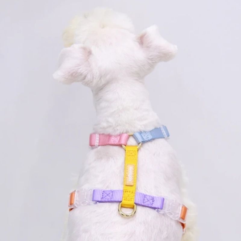 Tinklylife - Rainbow Harness - dogthings.co