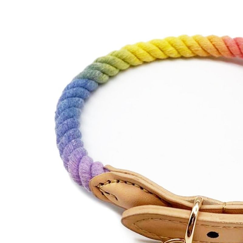 Tinklylife - Rainbow Collar - dogthings.co