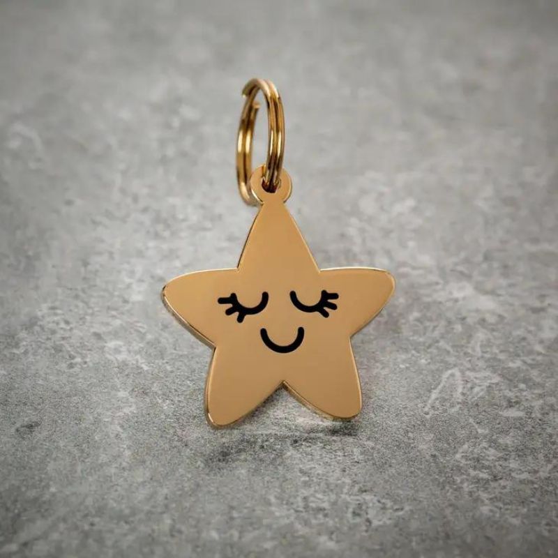 Two Tails Pet Company - Smiling Star Pet ID Tag
