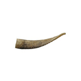 WAG - Goat Horn - Small - dogthings.co