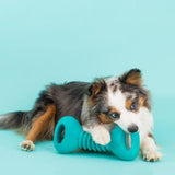 Zippy Paws Dumbbell Squeakerz Dog Toy - dogthings.co