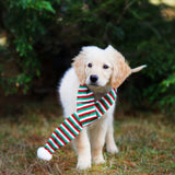 Zippy Paws - Holiday Scarf - dogthings.co