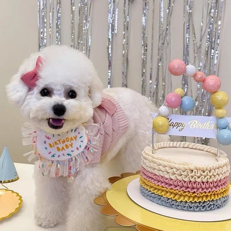 dogthings - Birthday Bib and Hat Set