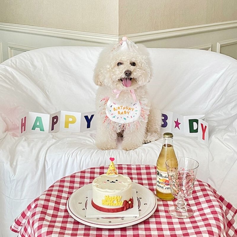 dogthings - Birthday Bib and Hat Set