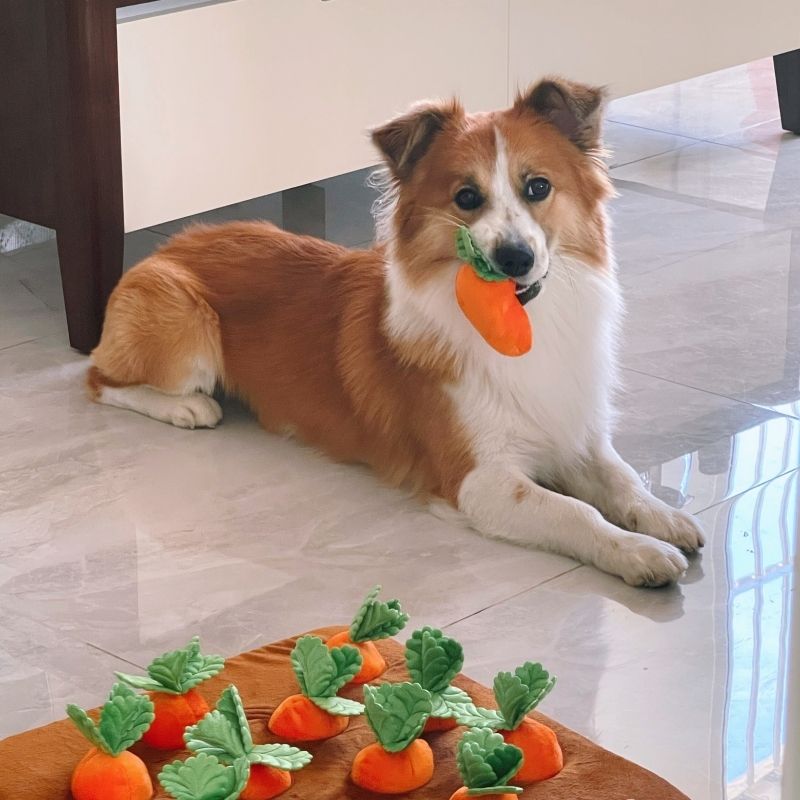 dogthings Large Carrot Enrichment Toy