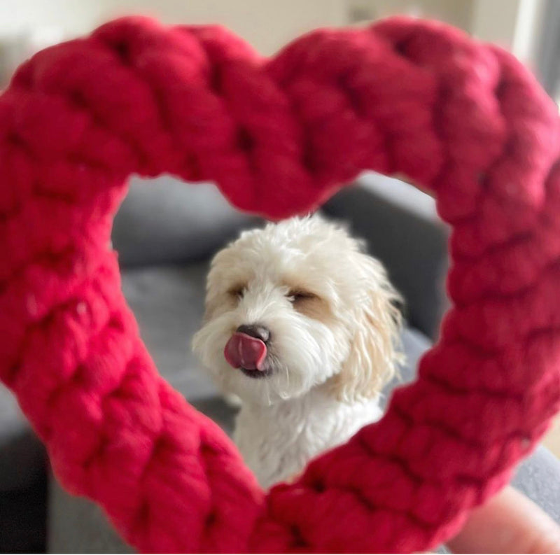 dogthings Be My Valentine Rope Toy - dogthings.co