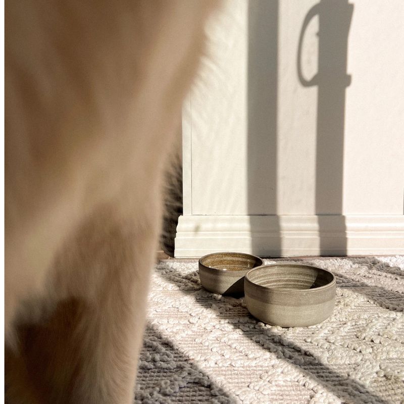 Peachy Dogs - Ceramic Dog Bowl in Grey