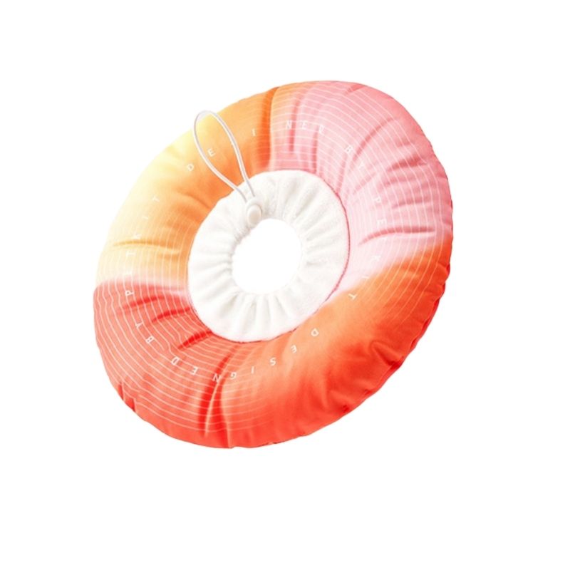 Petkit E-Collar - Rainbow Peach - dogthings.co
